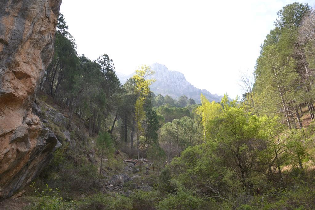 Hotel Balcon De Cazorla Kültér fotó